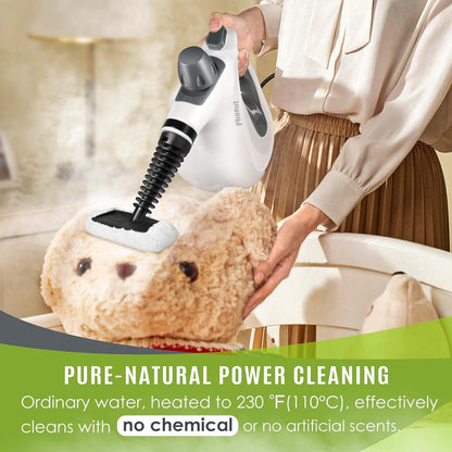 ErazerPro™ - Handheld Pressurized Steam Cleaner with 12 Accessories